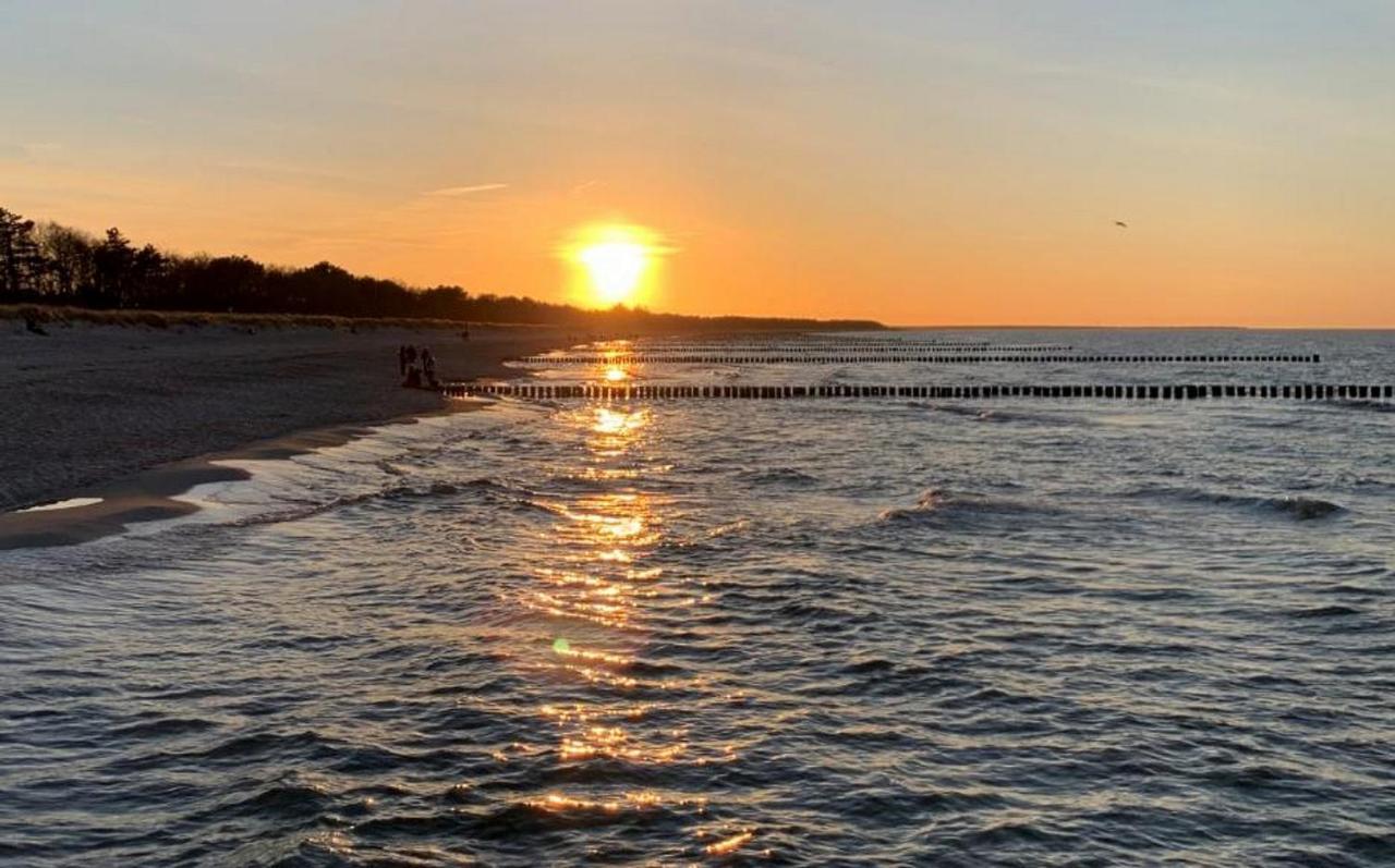 Parkresidenz Am Hafen Wohnung Hf 11 - Meerzeit Zingst Exteriér fotografie